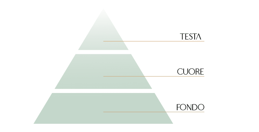 Piramide olfattiva: guida per capire i tuoi profumi 