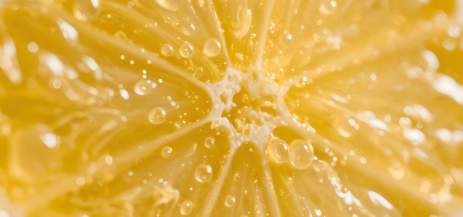 Famiglia olfattiva agrumata: guida ai profumi esperidati di nicchia